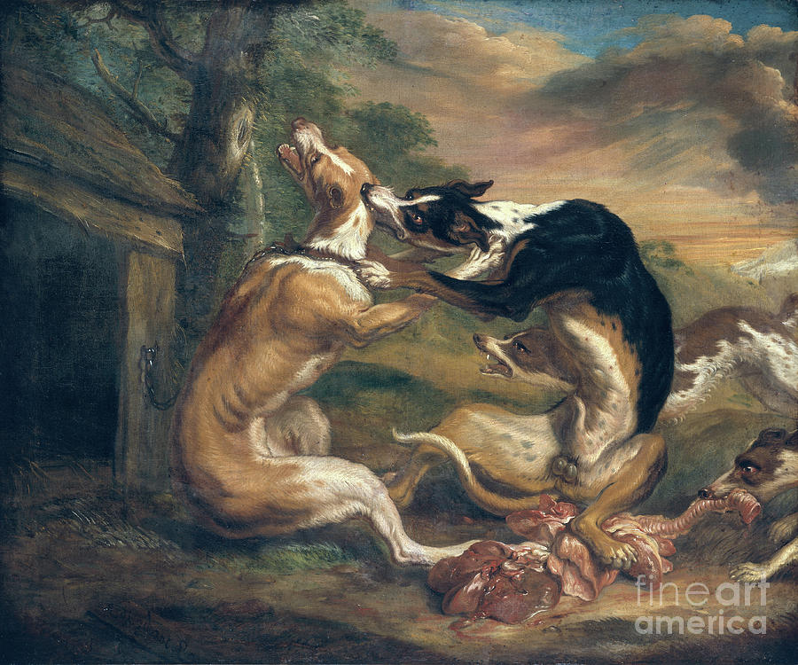 The Dog Fight, 1678 by Juriaen Jacobsz