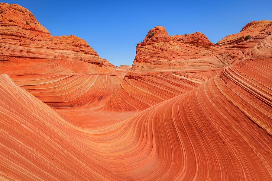 The Wave at North Coyote Buttes Photograph by Wasatch Light - Metal Posters