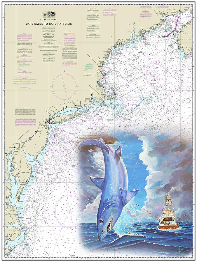 Mako #1 Painting by Mark Ray