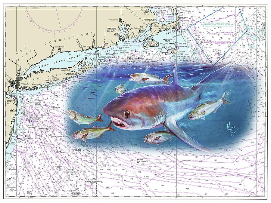 Thresher Shark Chart Painting by Mark Ray