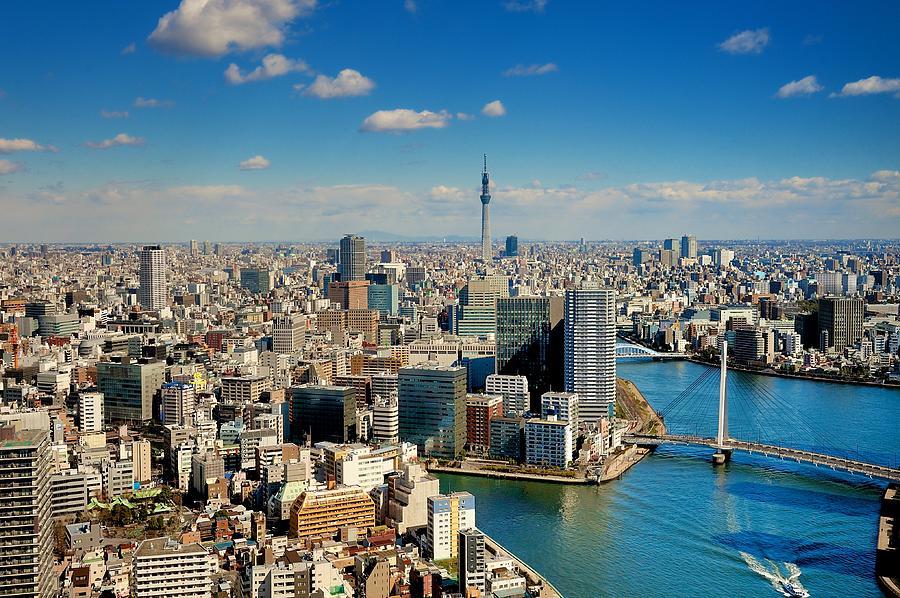 Tokyo View At Sunny Day by Vladimir Zakharov