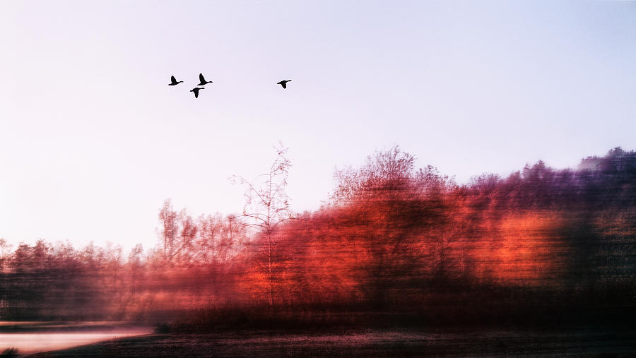 Touch of Nature Photograph by Jaroslav Buna