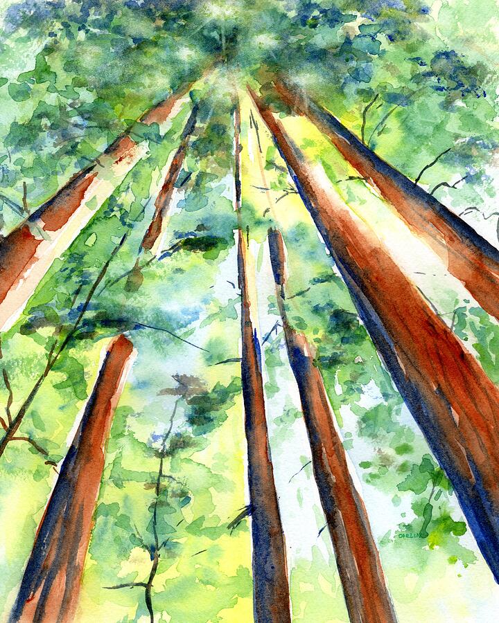 Up through the Redwoods Painting by Carlin Blahnik CarlinArtWatercolor