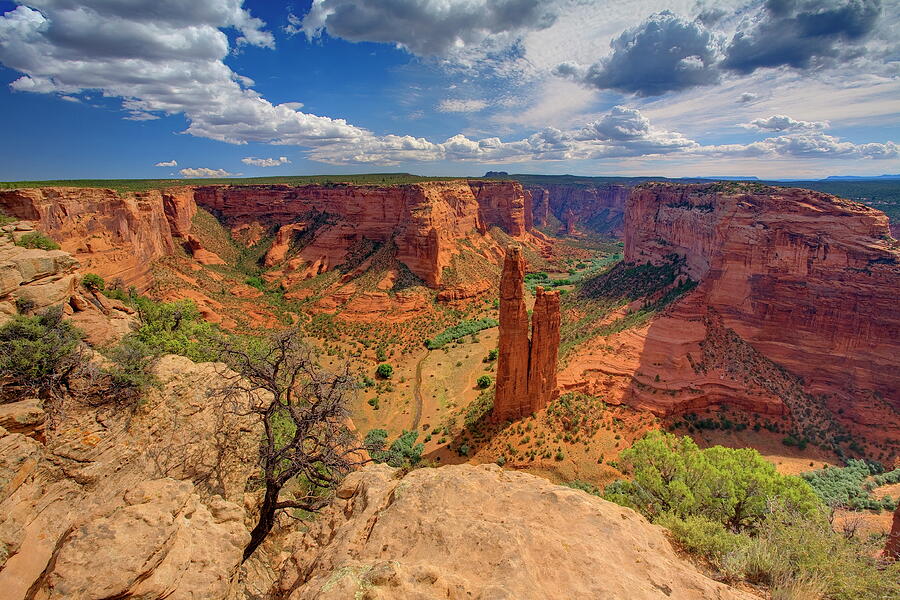 Usa, Arizona, View Of The Spider Rock Digital Art by Bernhard Fichtl