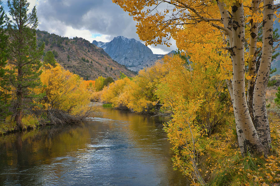 California Riffer Usa, California, River Through Eastern by Gary Weathers