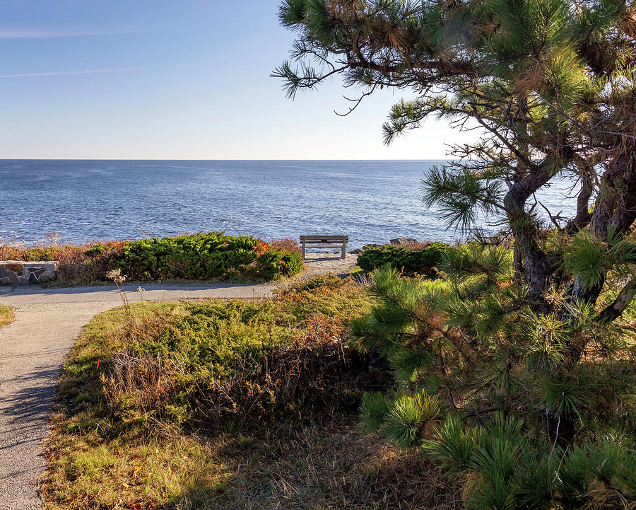 Usa, Maine, Ogunquit, Marginal Way Trail Digital Art by Claudia Uripos