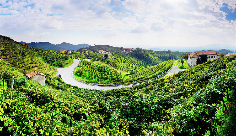 Veneto, Prosecco Road, Italy Digital Art by Luca Da Ros