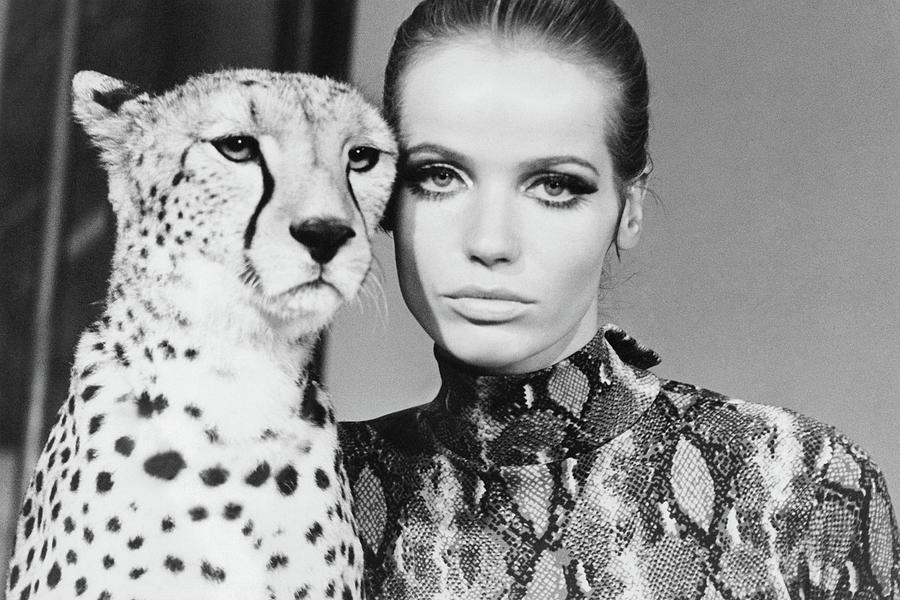 Model With Cheetah Photograph - Veruschka With Cheetah by Franco Rubartelli