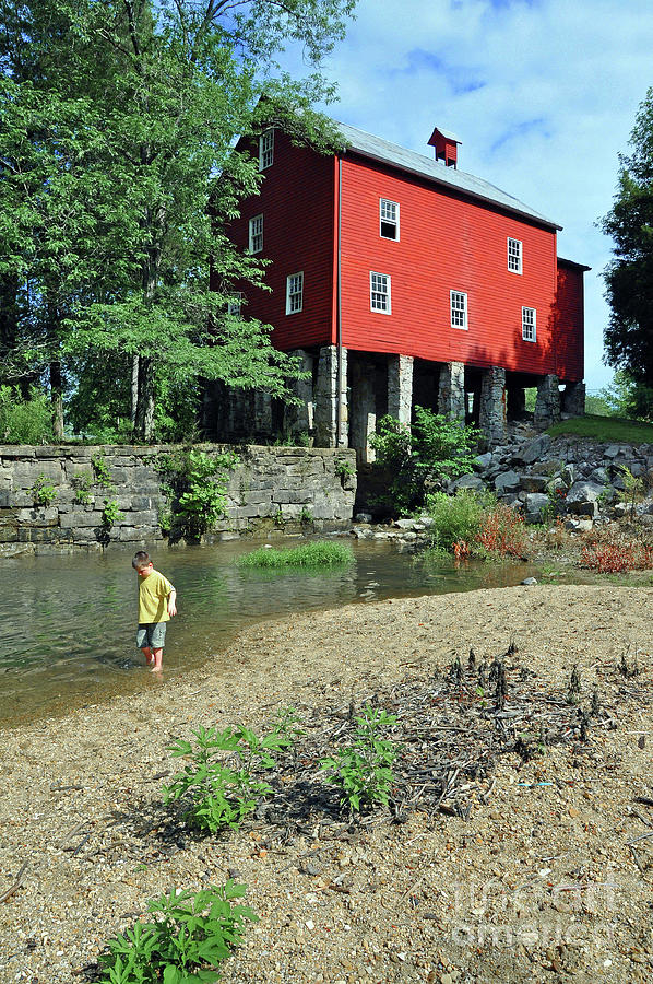 Wading Photograph by Randall Dill