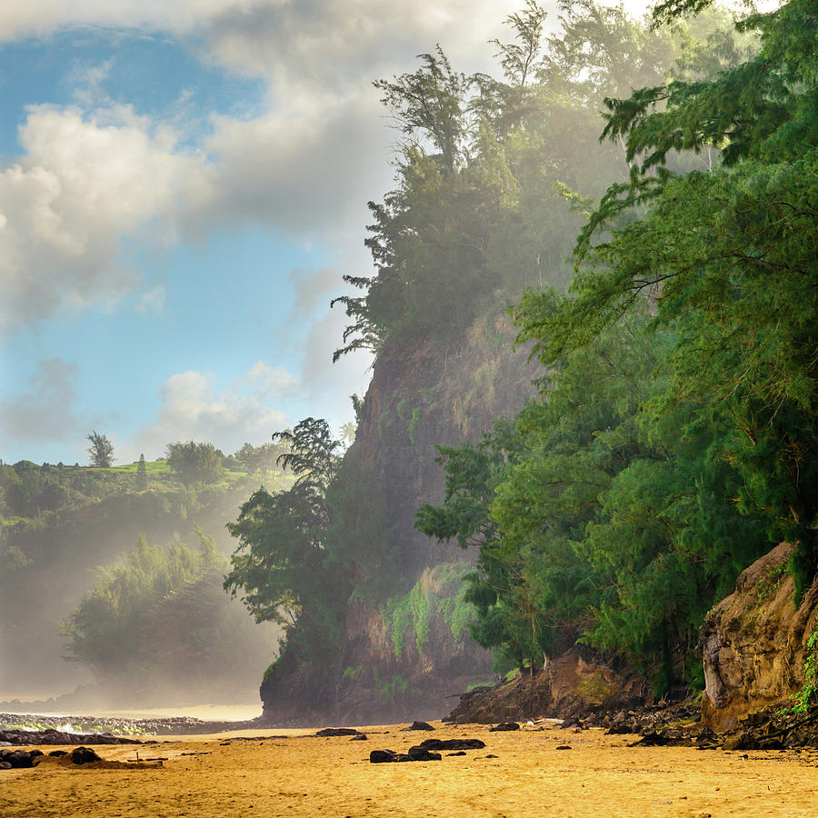 Walk Into Wilderness Photograph by Slow Fuse Photography