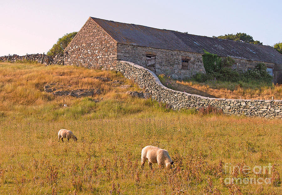 Welsh Pastorale Photograph by Randall Dill