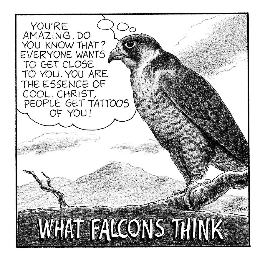 What Falcons Think Drawing - What Falcons Think by Harry Bliss