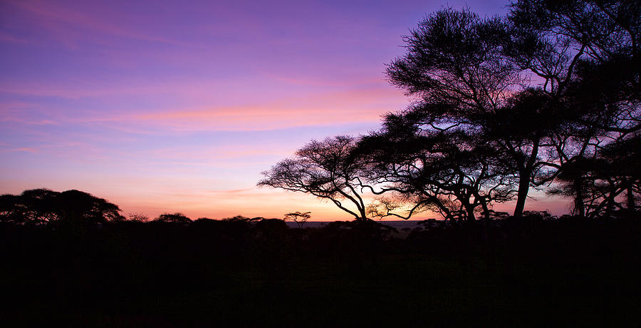 African sunrise #1 Photograph by Alberto Audisio