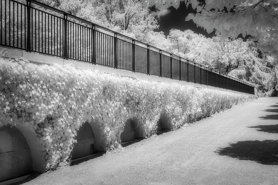 Monochromatic Garden Walkway Photograph - Airy Gardens II #1 by Susan Candelario