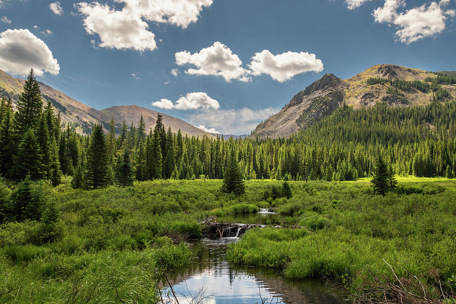 Beaver Country #1 Photograph by Jon Snyder