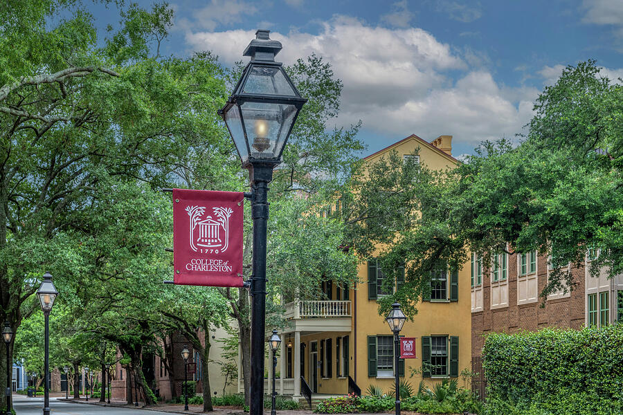 College of Charleston-color Photograph by Maryanne Keeling
