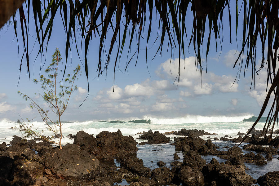 Crashing Waves #1 Photograph by Craig A Walker