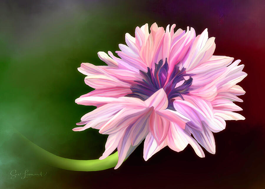 Digitally Painted Cornflower #1 Photograph by Sue Leonard