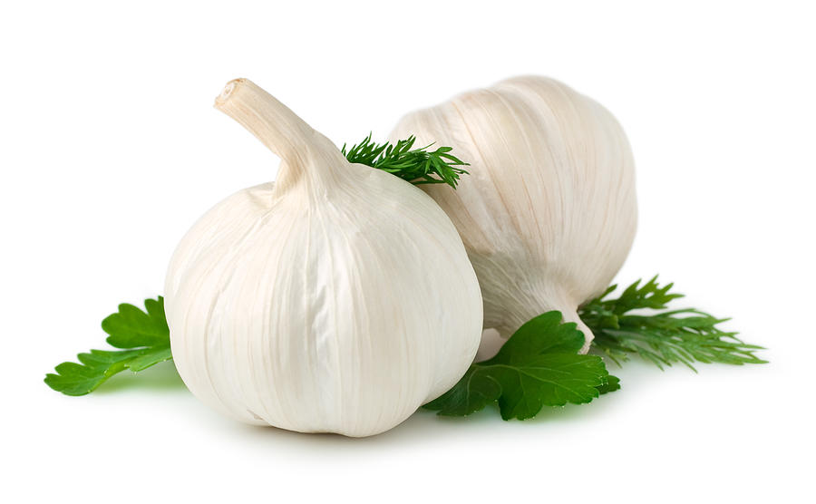Garlic #1 Photograph by Xxmmxx