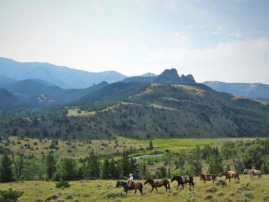 Headed Home #2 #2 Photograph by Alden White Ballard