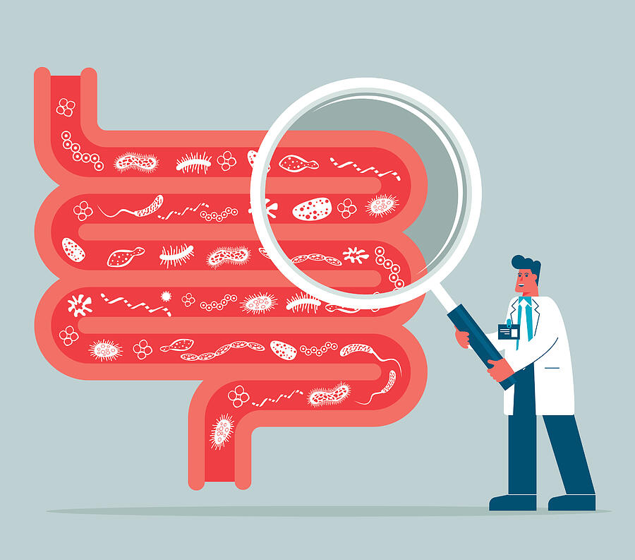 Magnifying Glass - Digestive system - male doctor #1 Drawing by Sorbetto