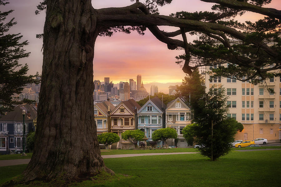Morning Ladies #1 Photograph by Louis Raphael