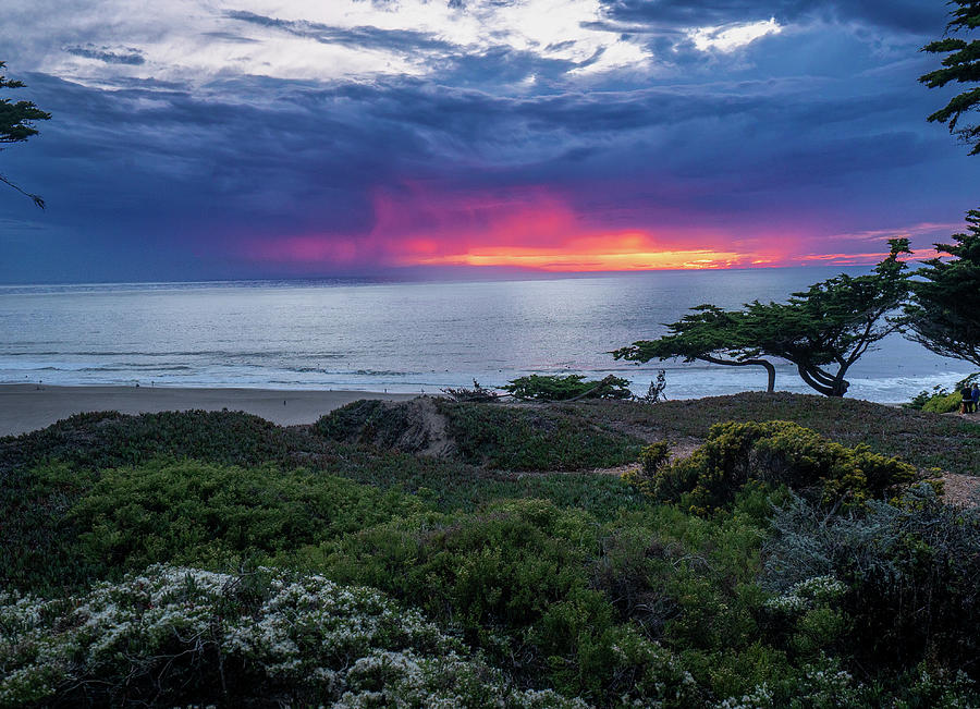Oasis #2 Photograph by Louis Raphael