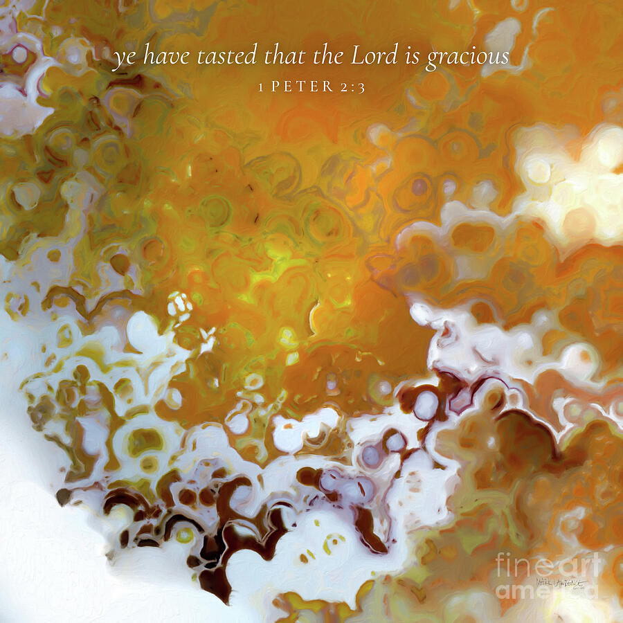 1 Peter 2 3 Bible Verse Wall Art, Ye Have Tasted That The Lord Is Gracious Painting by Mark Lawrence