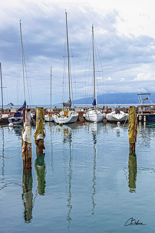 Sailboats at Rest #1 Photograph by Charlie Osborn