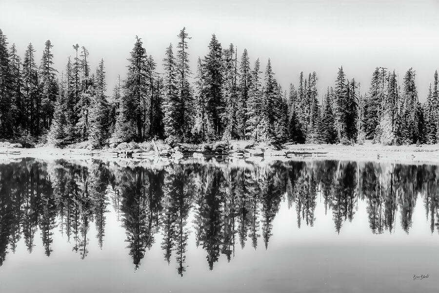 Serene Forest Reflection Digital Art - Serene Forest Reflection #1 by Bruce Block