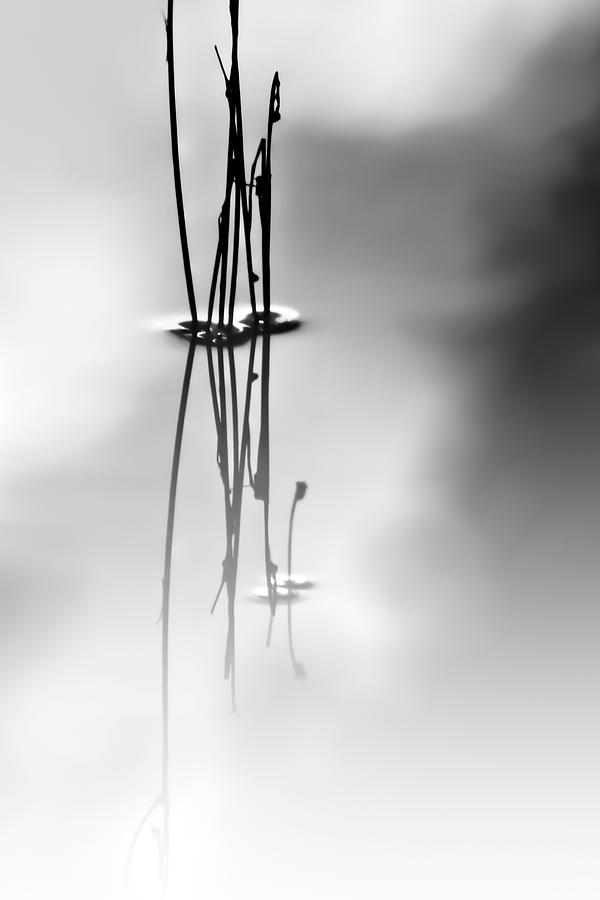Silence #1 Photograph by Ursula Abresch