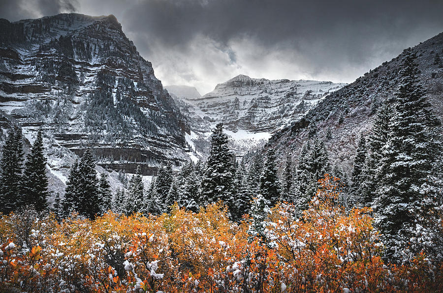Timpanogos Fire and Ice, Utah #1 Photograph by Abbie Warnock