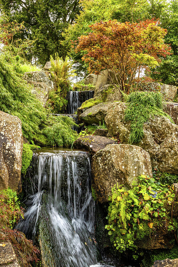 Tranquil Garden Waterfall Scene #1 Photograph by Shirley Mitchell