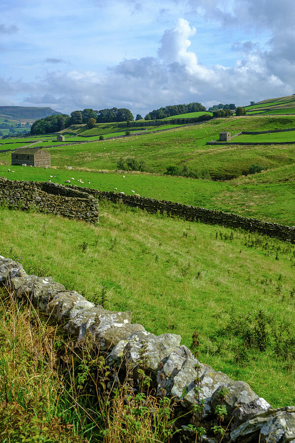 Rolling Hills and Stone Walls Photograph - Yorkshire Dales #1 by Seeables Visual Arts