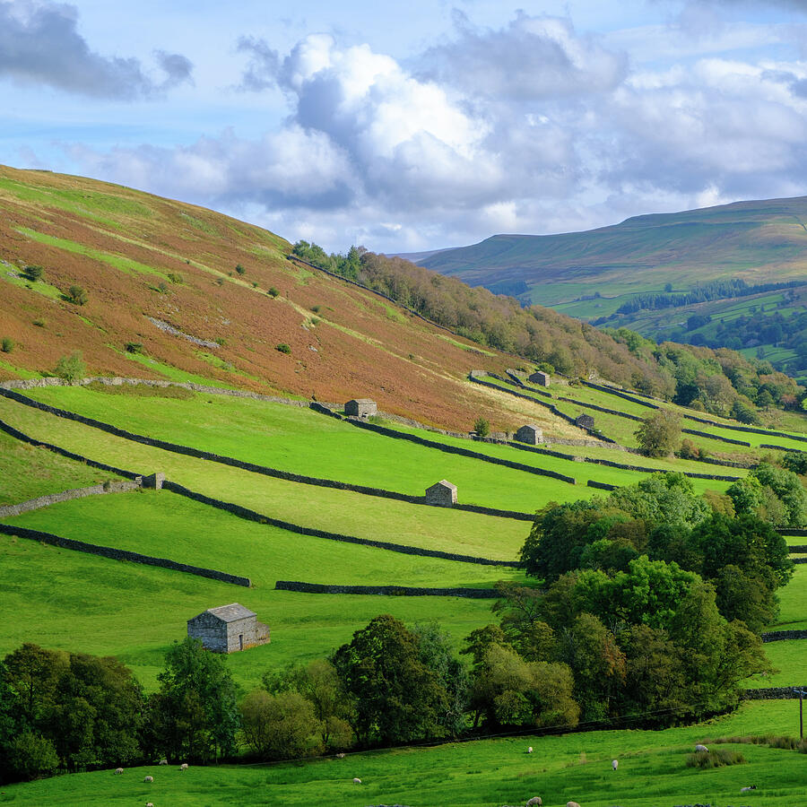 Rolling Hills of Countryside Photograph - Swaledale #10 by Seeables Visual Arts