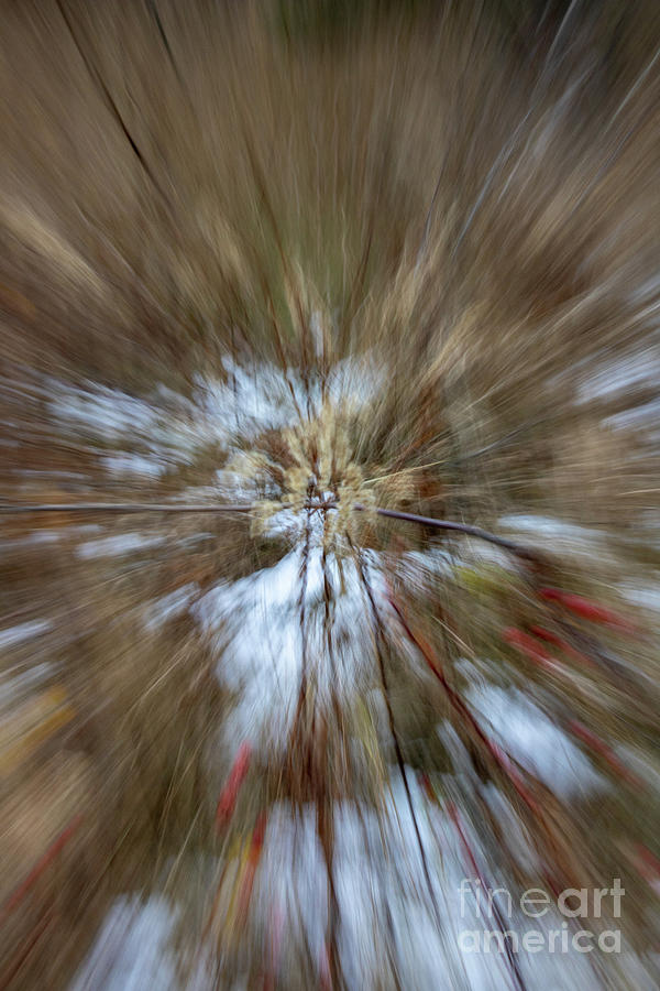 1002-2_icm Photograph by Mark Triplett