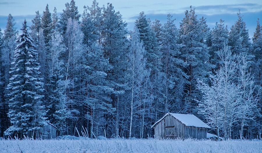 The Colors Of Winter #118 Photograph by Jeramy Hinfelaar - Metal Posters