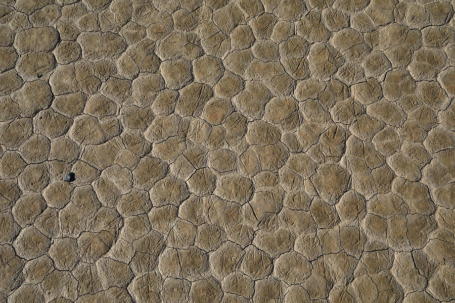 The Racetrack Playa #12 Photograph by Jonathan Babon