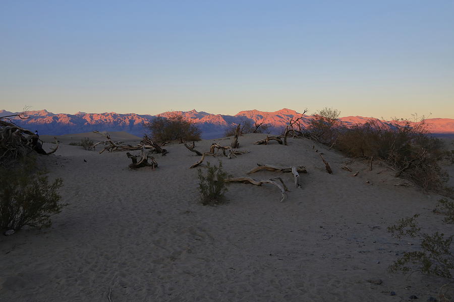 Death Valley National Park #17 Photograph by Jonathan Babon