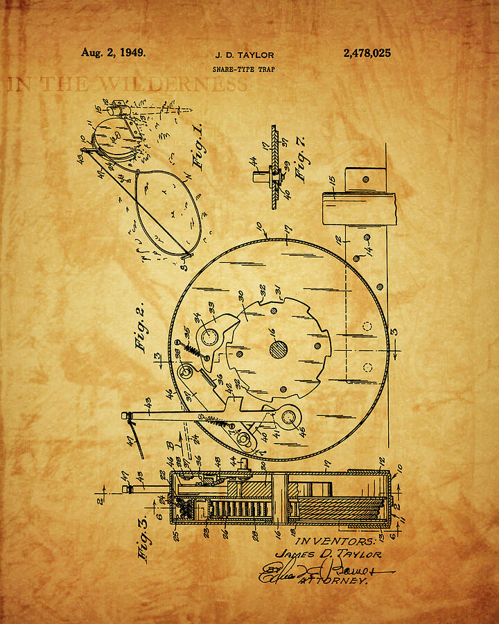 1949 Snare Trap Patent Wilderness Mixed Media by Dan Sproul
