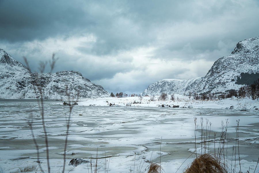 Houses Near a Snowy Fjord Photograph by Charnwood Photography Fine Art