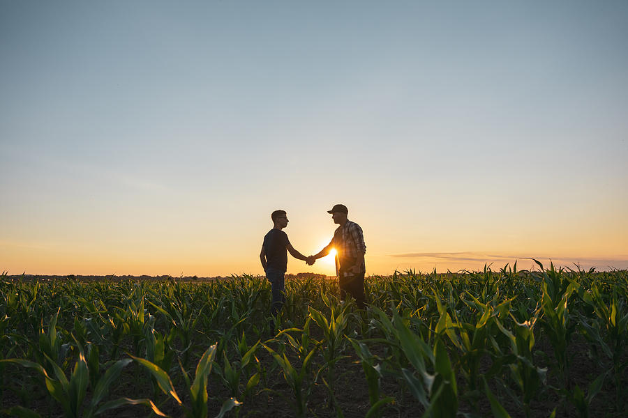 Male farmer and agronomist shaking hands in corn field #2 Photograph by SimonSkafar