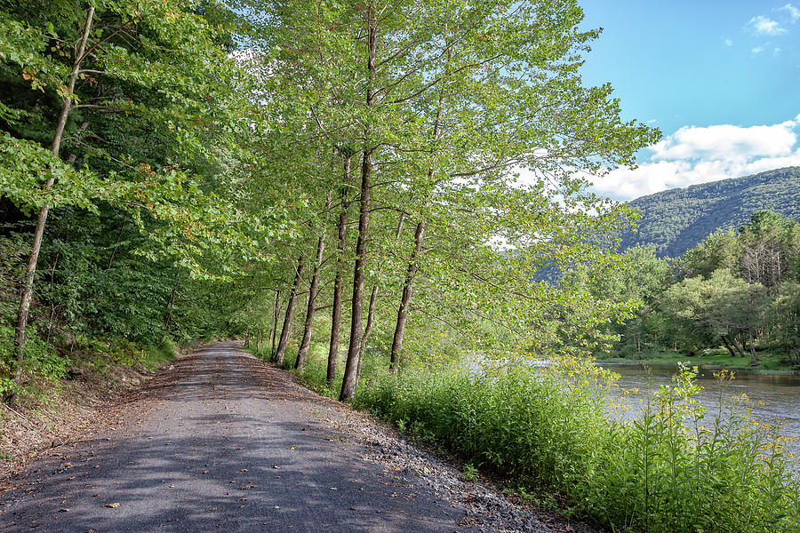 Pine Creek Rail Trail #2 Photograph by Chris Spencer