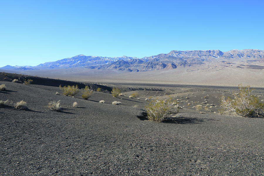 Death Valley National Park #27 Photograph by Jonathan Babon
