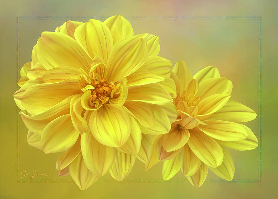 Digitally painted Dahlia #3 Photograph by Sue Leonard