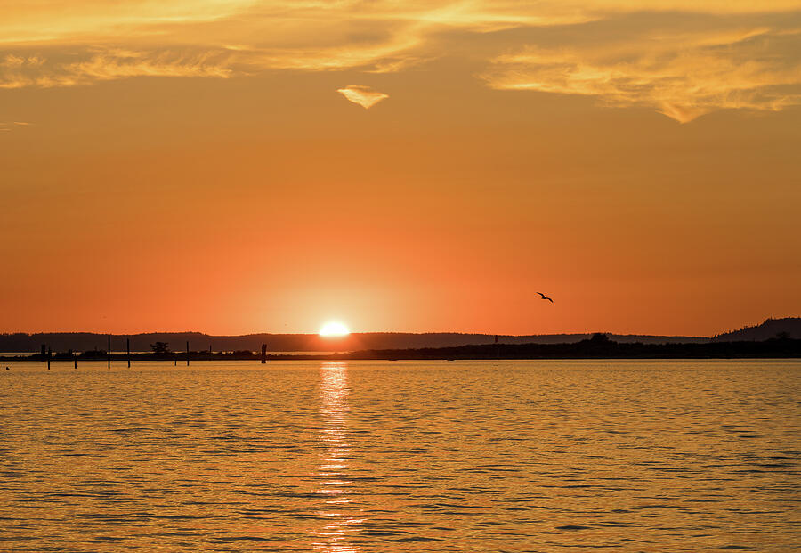 Golden Sunset Over Tranquil Water Photograph - Dramatic sunset clouds over Possession Sound Everett in Washingt #3 by Steven Heap