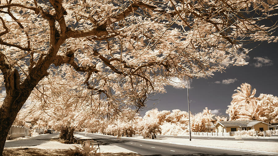 3 Lanes of Serenity Photograph by Gian Smith