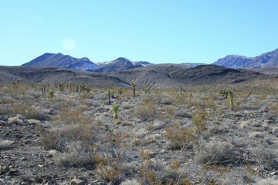 Death Valley National Park #32 Photograph by Jonathan Babon