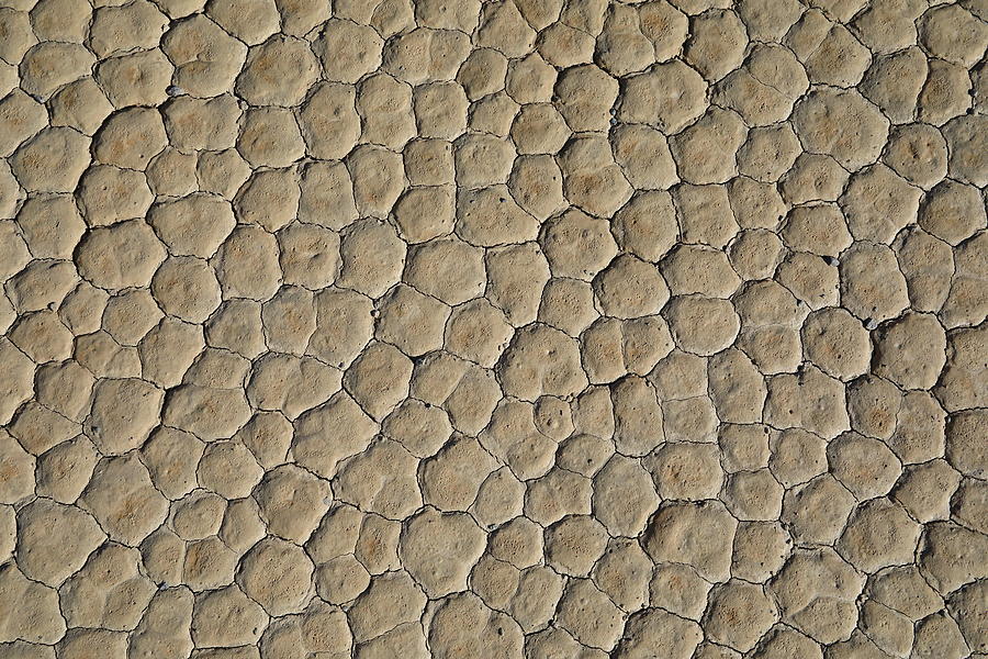 The Racetrack Playa #4 Photograph by Jonathan Babon