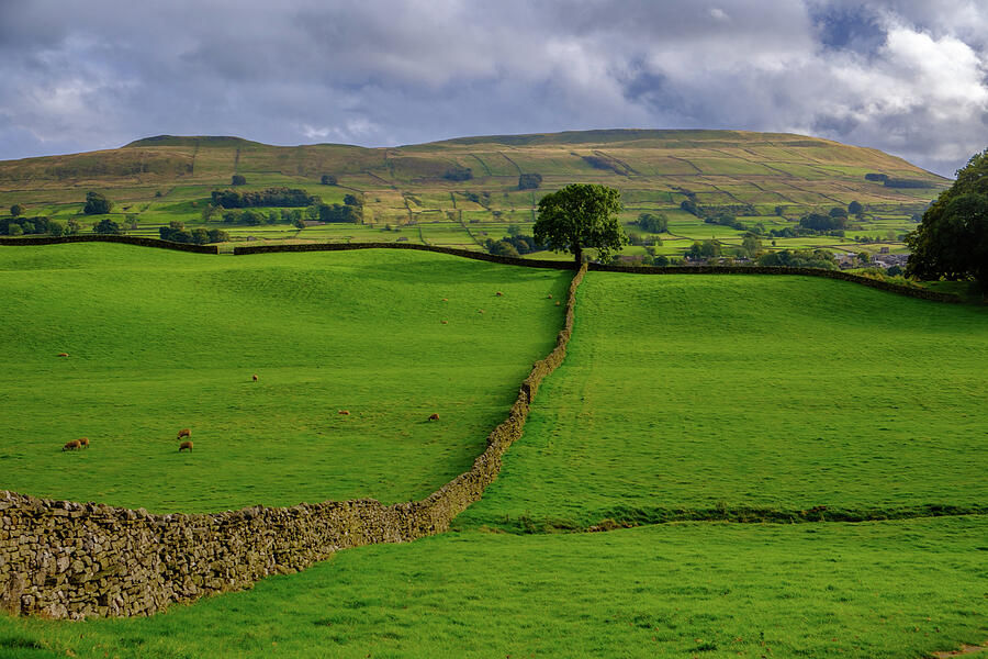 Rolling Hills and Stone Wall Photograph - Wensleydale #6 by Seeables Visual Arts